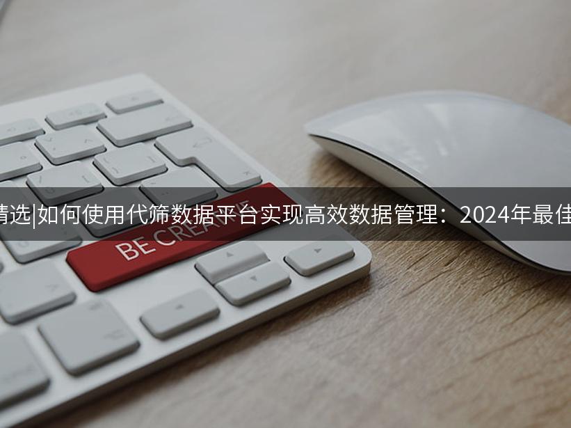Like出海精选|如何使用代筛数据平台实现高效数据管理：2024年最佳实践指南