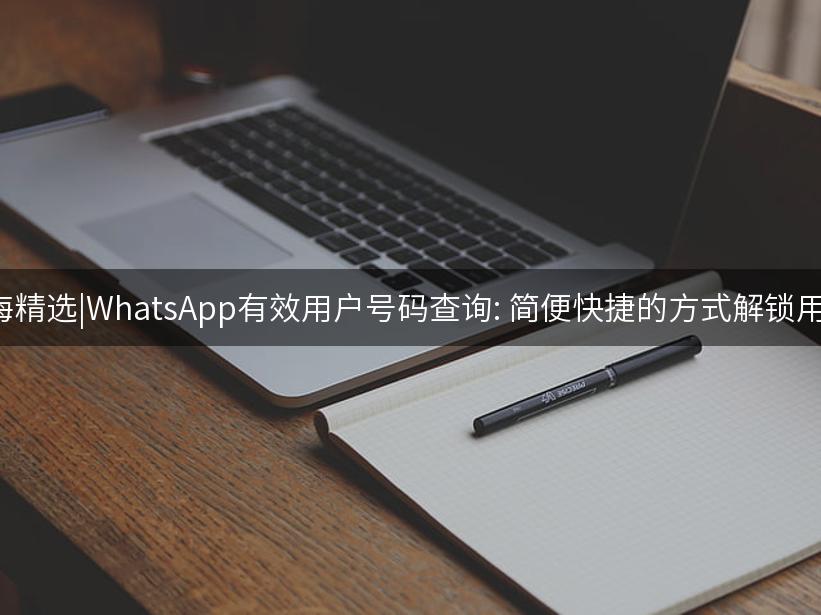 Like出海精选|WhatsApp有效用户号码查询: 简便快捷的方式解锁用户信息