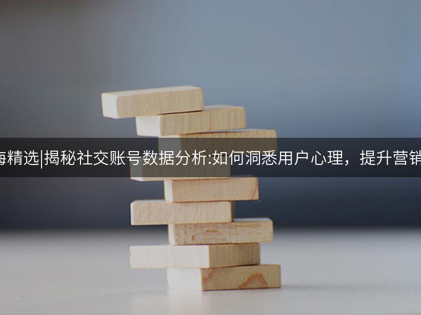 Like出海精选|揭秘社交账号数据分析:如何洞悉用户心理，提升营销效率？
